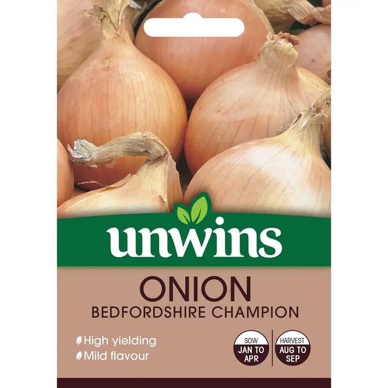 Bedfordshire Champion Onion Seeds – Large, Storage-Ready Bulbs 1