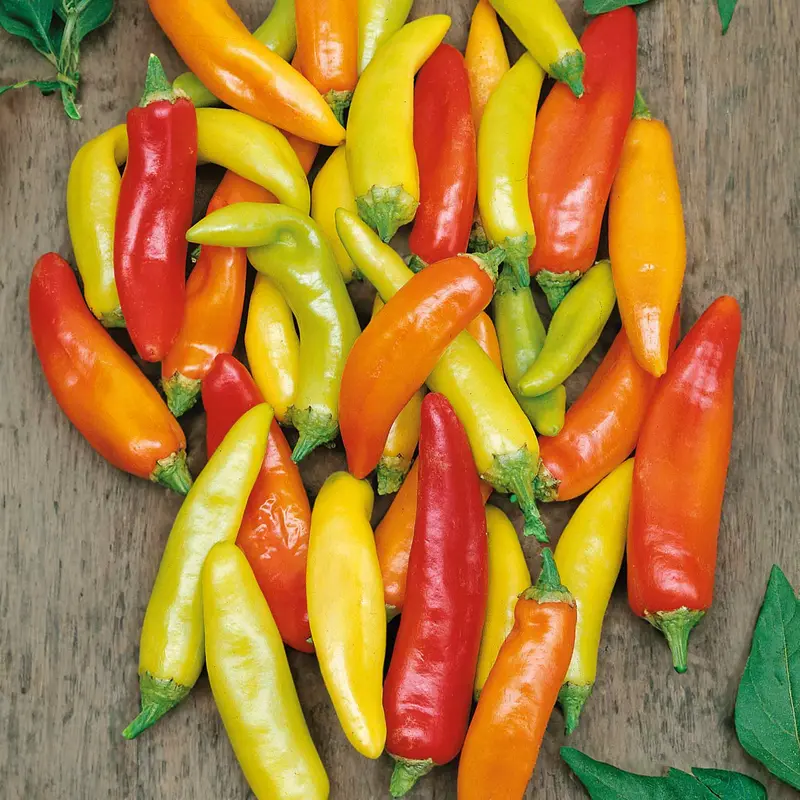 Hungarian Hot Wax Chilli Pepper – Medium Heat 1