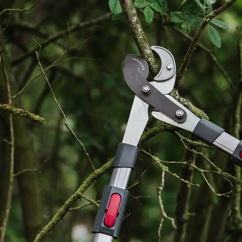 Kent & Stowe Telescopic Anvil Loppers – Geared Cutting Tool With Adjustable Reach 1