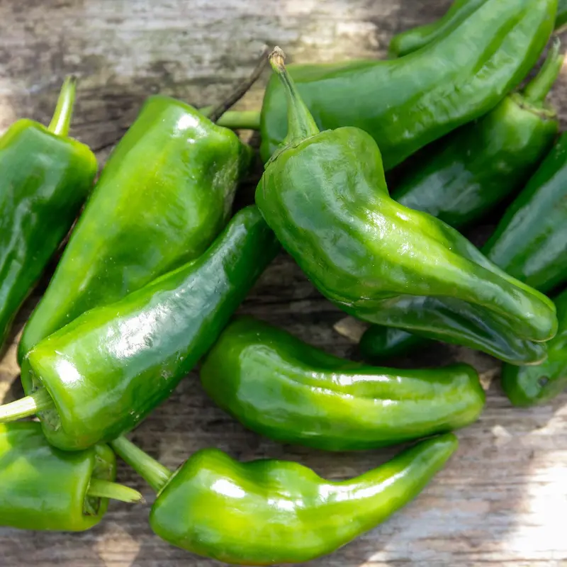 Padron Chilli Pepper – Mild To Fiery Tapas Variety 1
