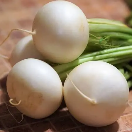 Snowball Turnip Seeds 1