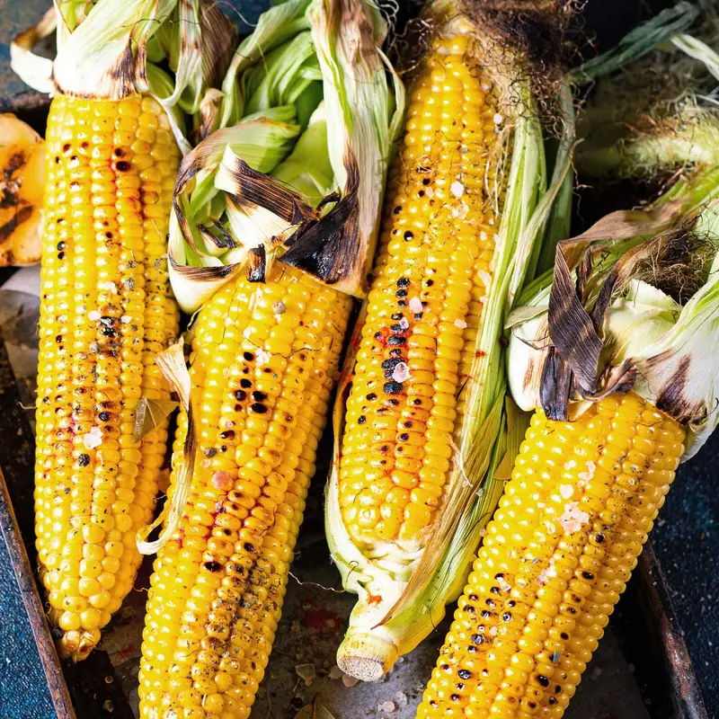 Sweetcorn 'Honeydew Improved' – Early-Maturing Bicolor Corn 1